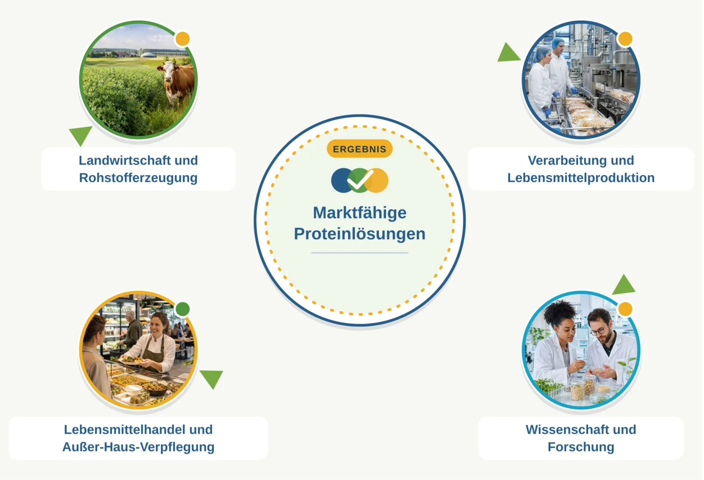 Kreislaufgrafik: Von der Erzeugung bis zum Markt